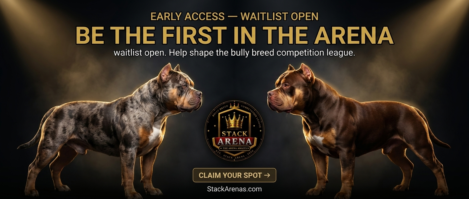 Stack Arena — bully breed competition league